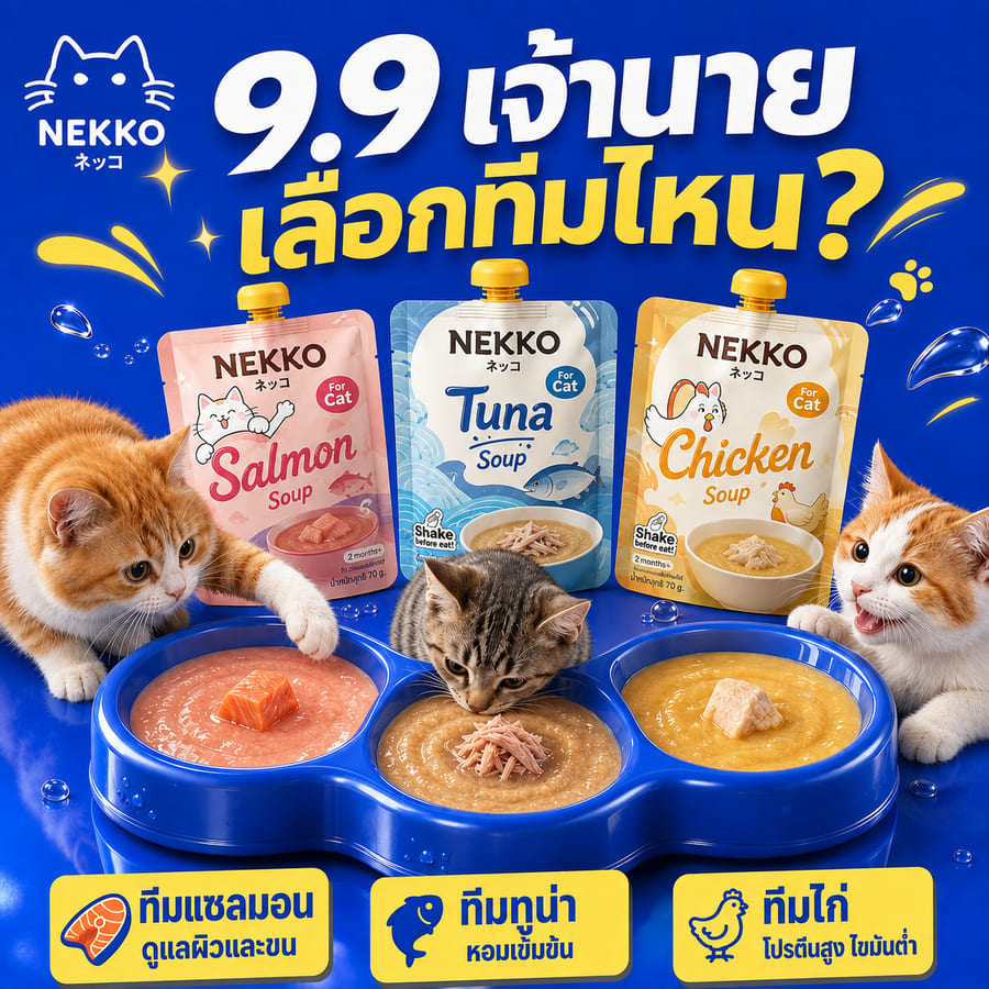 สัตว์เลี้ยง — ตัวอย่างคอนเทนต์
